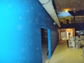 DSC09270.jpg