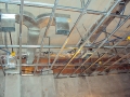 DSC05874.jpg